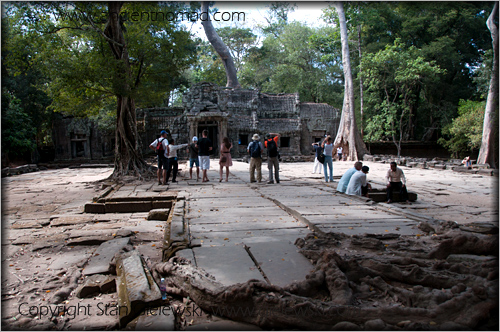 Ta Prohm - Angkor Wat - Siem Reap - Cambodia