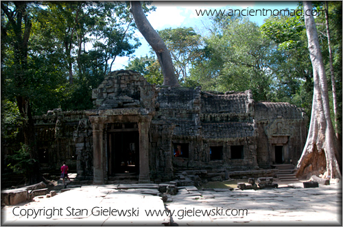 Ta Prohm - Angkor Wat - Siem Reap - Cambodia