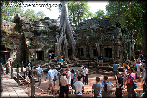 Ta Prohm - Angkor Wat - Siem Reap - Cambodia