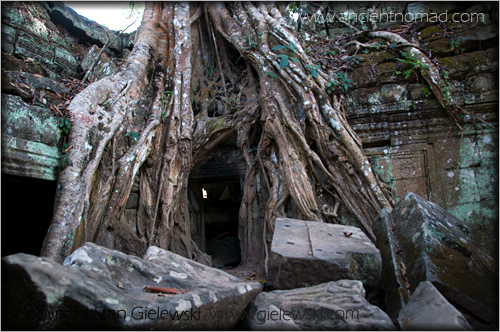 Ta Prohm - Angkor Wat - Siem Reap - Cambodia