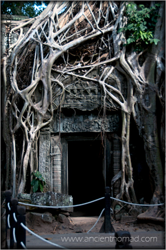 Ta Prohm - Angkor Wat - Siem Reap - Cambodia