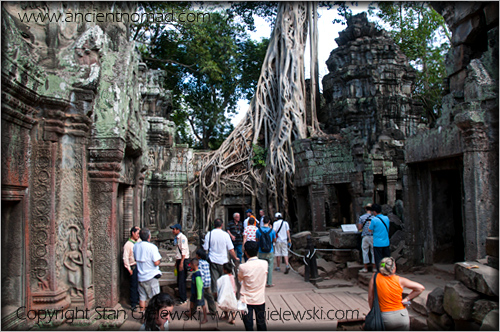 Ta Prohm - Angkor Wat - Siem Reap - Cambodia
