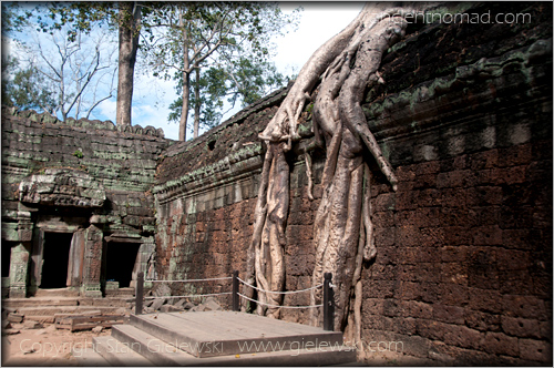 Ta Prohm - Angkor Wat - Siem Reap - Cambodia