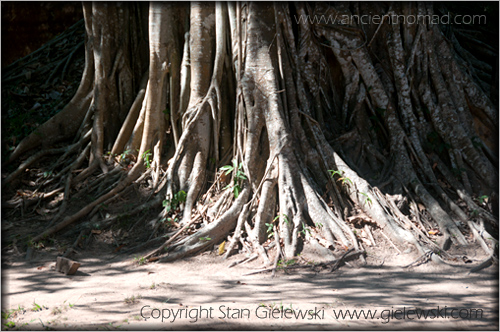 Siem Reap - Cambodia