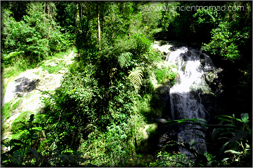 Cameroan Highlands - Malaysia