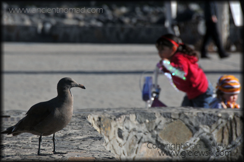 Mexico Ensenada - 
