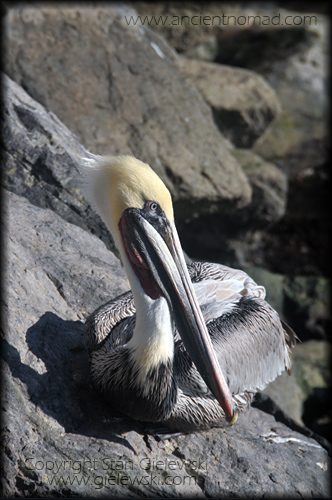 Ensenada Mexico