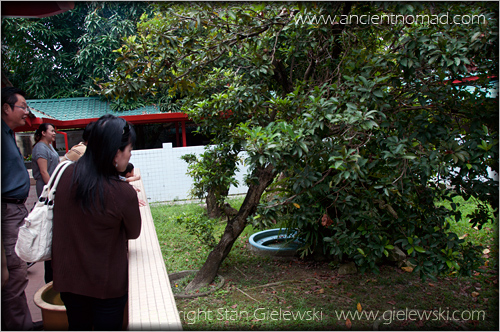 Georgetown - Penang - Malaysia