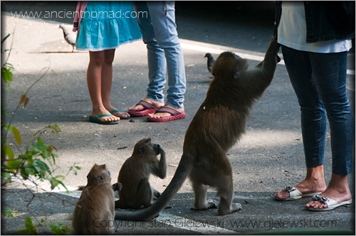 Songkhla - Thailand