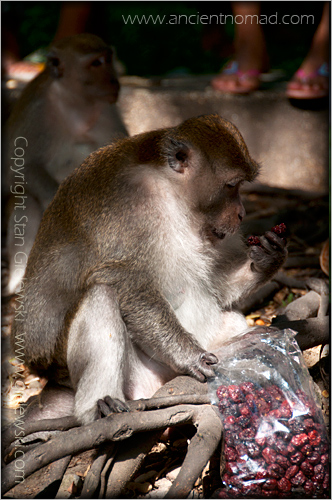 Songkhla - Thailand