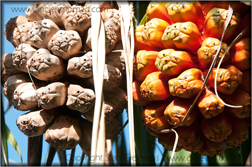 Songkhla - Thailand