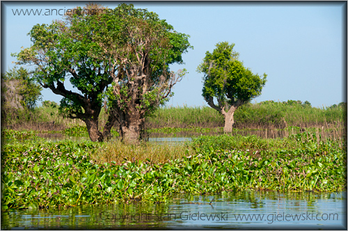 Boat trip: Battambang to Siem Reap - Cambodia