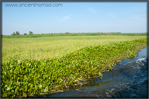 Boat trip: Battambang to Siem Reap - Cambodia